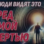 Жизнь После Жизни Есть Я Знаю Путешествие Скептика