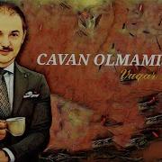 Cavan Stil Mahnilr Bass