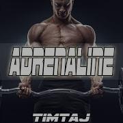 Timtaj Sport Motivational
