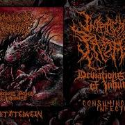 Intracranial Parasite Full Albums