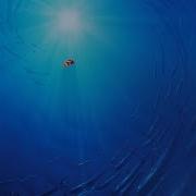 Thomas Newman