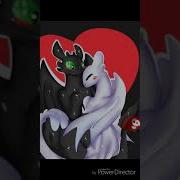 Toothless X Light Fury Tribute