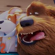 Welcome To New York Sercet Life Of Pets