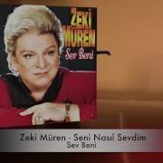 Seni Nasıl Sevdim