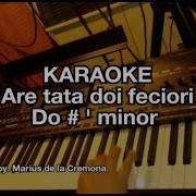 Are Tata Doi Copii Karaoke