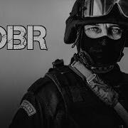 Собр Sobr Russian Swat