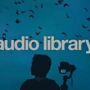 Twilight Neutrin05 No Copyright Music