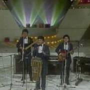 Los Vikins 5