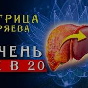 Матрица Гаряева Желчный