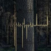Mollono Bass Woods Tales Friends