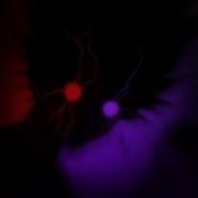 Mrl Mc Gw The Automotivo Infernal 1 0 Purple