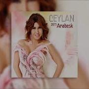 Sustum Artık Ceylan