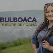 Ca Un Strugur De Poama