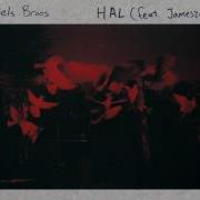 Niels Broos Hal Feat Jameszoo