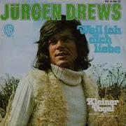 Jürgen Drews Kleiner Vogel