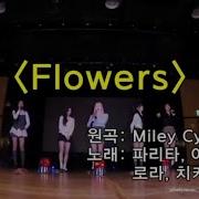 Babymonster Flowers