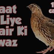 Raatkiliye Batair Ki