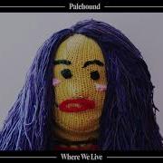 Where We Live Palehound
