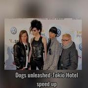 Dogs Unleashed Speed Up