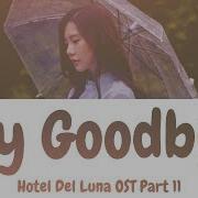 Song Haye Say Goodbye