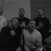 Смуглянка Bravo Metehi
