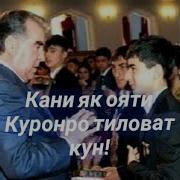 Писаре Буд Номаш Падар