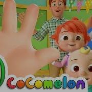Daddy Finger Mummy Finger Song