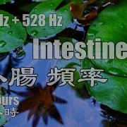 Intestines Frequency 281Hz Dna Repair 528Hz Tibetan Singing Bowls Healing Sounds