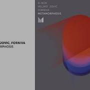 D Nox Veljko Jovic Forniva Metamorphosis