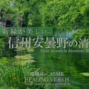 Asmr 日本