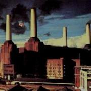 Pigs On The Wing Pink Floyd
