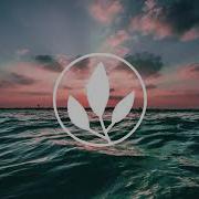 Matt Quentin Waves