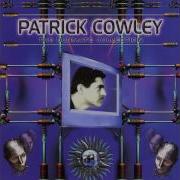 Patrick Cowley Menergy