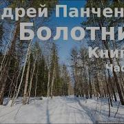 Андрей Панченко Болотник Книга 6