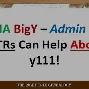 Y111