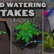 Watering