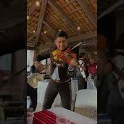 Гурт Viva Music