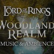 Middle Earth Mirkwood Mix