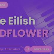 Wildflower Lower Key Originally Performed By Billie Eilish Piano Karaoke Version