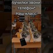 Чундра Чучундра Мем