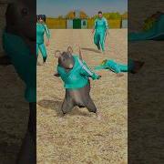 Rat Dance
