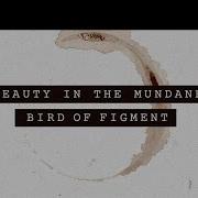 Beauty In The Mundane Bird Of Figmen