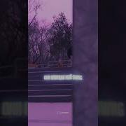 Lil Morty Wigga Wigga Edit Audio