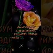 Жумага Шер