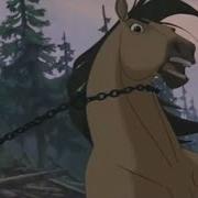 Mustang Multfilm Uzbek Tilida