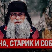 Песни О Собаке На Войне