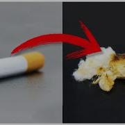 Cigarette Diet Meme