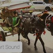 Carriage Horse Sounds