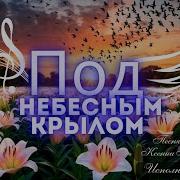 Под Небесным Крылом Павленко