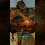 Good Morning Fleanger Remix Sam Sparacio Cafe De Anatolia Gifted Fire